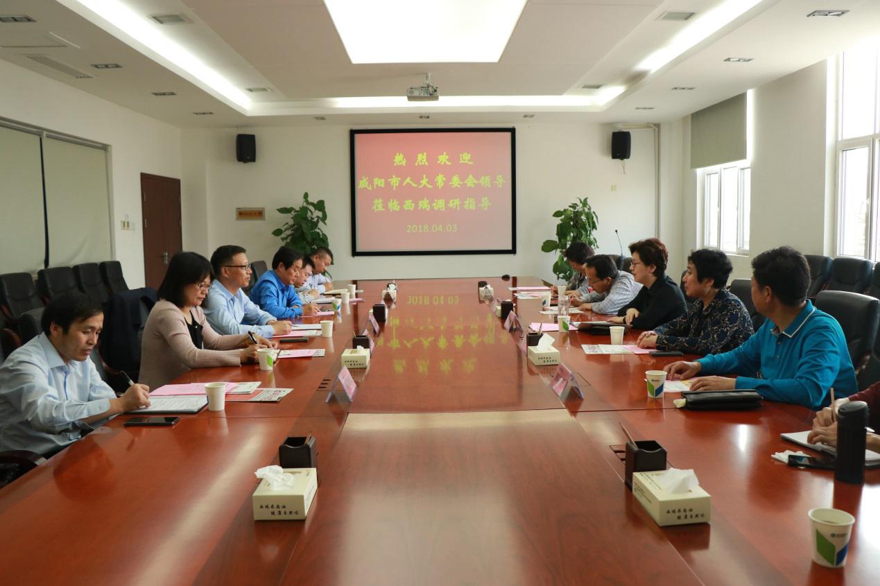 咸陽市人大黨組副書記、副主任肖芳到西瑞集團(tuán)考察調(diào)研