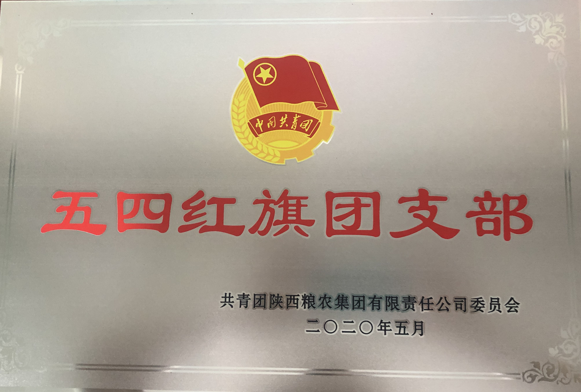 喜報(bào)！五四青年節(jié)，油脂集團(tuán)多位青年喜獲陜西糧農(nóng)集團(tuán)榮譽(yù)！