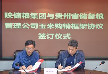 陜儲(chǔ)糧集團(tuán)與貴州省儲(chǔ)備糧管理公司簽訂《玉米購(gòu)銷框架協(xié)議》