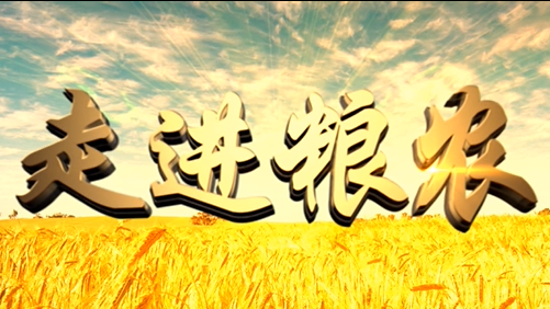 4分鐘，閱讀奮斗崛起中的糧農(nóng)集團(tuán)！