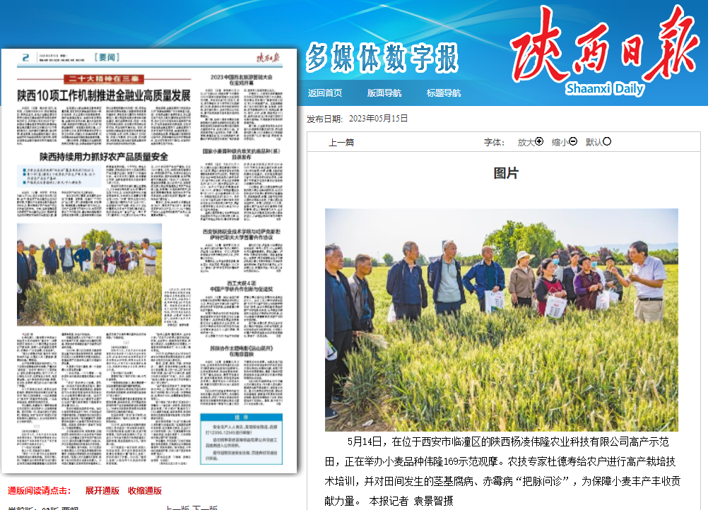 陜西日?qǐng)?bào)：農(nóng)技人員田間地頭“把脈問(wèn)診”護(hù)航小麥豐產(chǎn)豐收